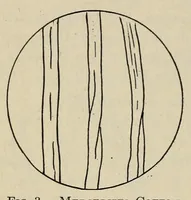 Picture 2 of 10 from Textiles and clothing (1919), leaf 26