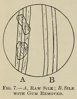 Picture 3 of 10 from Textiles and clothing (1919), leaf 28