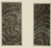 An illustration from Sewing and textiles; a textbook for grades and rural schools, prepared in the Extension division of the University of Wisconsin (1918)