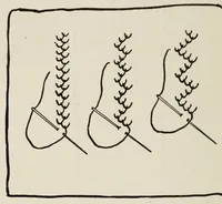 Picture 8 of 17 from Sewing and textiles; a textbook for grades and rural schools, prepared in the Extension division of the University of Wisconsin (1918), leaf 72
