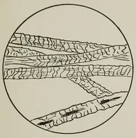An illustration from Sewing and textiles; a textbook for grades and rural schools, prepared in the Extension division of the University of Wisconsin (1918)