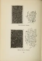 Picture 11 of 17 from Sewing and textiles; a textbook for grades and rural schools, prepared in the Extension division of the University of Wisconsin (1918), leaf 90