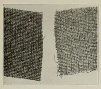 An illustration from Sewing and textiles; a textbook for grades and rural schools, prepared in the Extension division of the University of Wisconsin (1918)