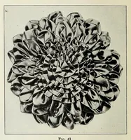 An illustration from Ribbon and fabric trimmings : a variety of appropriate dress trimmings that can be made from ribbon and fabric, with directions for their making (1925)