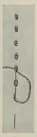 An illustration from Embroidery and decorative stitches (1916)