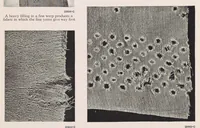 An illustration from Some things to remember in judging fabrics (1929)