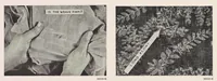 Picture 2 of 3 from Some things to remember in judging fabrics (1929), leaf 2