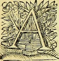 An illustration from Historia insectorum generalis : cum figuris et indicibus necessariis (1685)