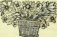 An illustration from Historia insectorum generalis : cum figuris et indicibus necessariis (1685)