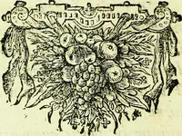 An illustration from Historia insectorum generalis : cum figuris et indicibus necessariis (1685)