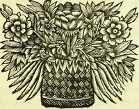 An illustration from Historia insectorum generalis : cum figuris et indicibus necessariis (1685)