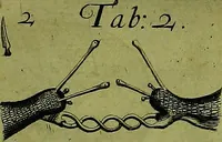Picture 5 of 11 from Martini Lister ... Historiæ animalium Angliæ, tres tractatus. Unus de araneis. Alter de cochleis tum terrestribus, tum fluviatilibus. Tertius de cochleis marinis. Quibus adjectus est quartus de lapidibus ejusdem insulæ ad cochlearum quandam imaginem figuratis (1678), leaf 125