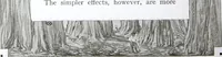 Picture 16 of 50 from California Redwood "nature's lumber masterpiece" (1916), leaf 19