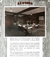 Picture 18 of 50 from California Redwood "nature's lumber masterpiece" (1916), leaf 21