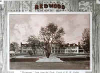 Picture 21 of 50 from California Redwood "nature's lumber masterpiece" (1916), leaf 23