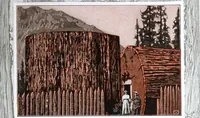 Picture 29 of 50 from California Redwood "nature's lumber masterpiece" (1916), leaf 32