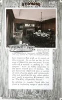 Picture 36 of 50 from California Redwood "nature's lumber masterpiece" (1916), leaf 47
