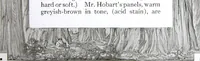 Picture 39 of 50 from California Redwood "nature's lumber masterpiece" (1916), leaf 50