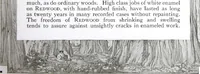 Picture 41 of 50 from California Redwood "nature's lumber masterpiece" (1916), leaf 56