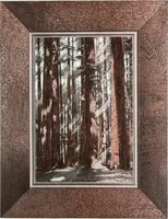 Picture 3 of 50 from California Redwood "nature's lumber masterpiece" (1916), leaf 6