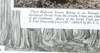 Picture 47 of 50 from California Redwood "nature's lumber masterpiece" (1916), leaf 73