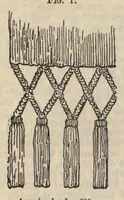 An illustration from Cantor Lectures on the Art of Lace-Making (1881)