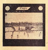 Picture 4 of 16 from Catalogus van Lantaarnplaatjes, Lichtbeelden op Filmstrooken enz. CAPI Catalogus No. 40 (1925), leaf 7
