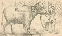 Picture 27 of 103 from Cartoons from the "Hindi Punch" : 1904. (1904), leaf 53