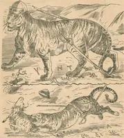 Picture 66 of 103 from Cartoons from the "Hindi Punch" : 1904. (1904), leaf 94