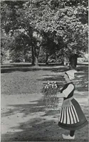 Picture 138 of 216 from Catalog of garden furniture, arbors, pergolas, gateways, trellises, fences, etc. (1920), leaf 71