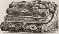 An illustration from Catalogue Aldine Grate & Mantel Company (1906)