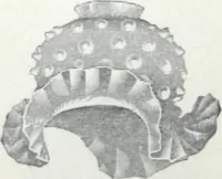 An illustration from Catalogue of O.D. Pierce & Co. manufacturers of and dealers in electrical supplies ... (1893)