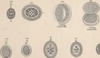 An illustration from Charles T. Menge's price list of ornamental hair jewelry and device work, nos. 32 and 34 John Street, New York (1873)