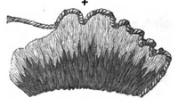 Picture 5 of 8 from Church Embroidery: Ancient And Modern (1867), leaf 202