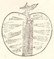 An illustration from Manuale dei giuochi di prestigio e calcolo colle carte (1905)