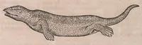 An illustration from Conr. Gesneri Tigurini medicinæ et philosophiae professoris in Schola Tigurina, Historiæ animalium liber II : qui est de quadrupedibus ouiparis (1586)