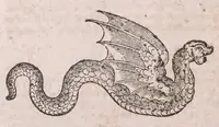 An illustration from Conradi Gesneri Tigurini medicinae et philosophiae professoris in Schola Tigurina, Historiae animalium Lib. V : qui est De serpentium natura : ex varijs schedis et collectaneis eiusdem compositus (1587)