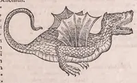 An illustration from Conradi Gesneri Tigurini medicinae et philosophiae professoris in Schola Tigurina, Historiae animalium Lib. V : qui est De serpentium natura : ex varijs schedis et collectaneis eiusdem compositus (1587)