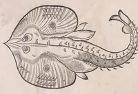 An illustration from Conr. Gesneri Tigurini medicinæ et philosophiae professoris in Schola Tigurina, Historiæ animalium liber II : qui est de quadrupedibus ouiparis (1586)