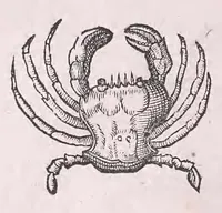 Picture 15 of 28 from Conr. Gesneri Tigurini medicinæ et philosophiae professoris in Schola Tigurina, Historiæ animalium liber II : qui est de quadrupedibus ouiparis (1586), leaf 574