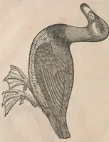 Picture 7 of 16 from Conr. Gesneri Tigurini, medicinae et philosophiae professoris in Schola Tigurina, Historiae animalium liber III : qui est De auium natura (1585), leaf 131