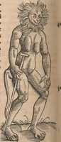 An illustration from Conradi Gesneri medici Tigurini Historiæ animalium Lib. I. de quadrupedibus uiuiparis : opus philosophis, medicis, grammaticis, philologis, poëtis, & omnibus rerum linguarumq́; uariarum studiosis, utilissimum simul iucundissimumq́; futurum .. (1551)