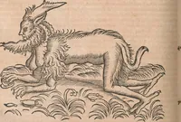 An illustration from Conradi Gesneri medici Tigurini Historiæ animalium Lib. I. de quadrupedibus uiuiparis : opus philosophis, medicis, grammaticis, philologis, poëtis, & omnibus rerum linguarumq́; uariarum studiosis, utilissimum simul iucundissimumq́; futurum .. (1551)