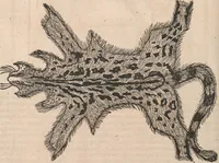 Picture 78 of 80 from Conradi Gesneri medici Tigurini Historiæ animalium Lib. I. de quadrupedibus uiuiparis : opus philosophis, medicis, grammaticis, philologis, poëtis, & omnibus rerum linguarumq́; uariarum studiosis, utilissimum simul iucundissimumq́; futurum .. (1551), leaf 1145
