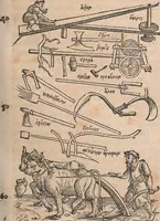 Picture 9 of 80 from Conradi Gesneri medici Tigurini Historiæ animalium Lib. I. de quadrupedibus uiuiparis : opus philosophis, medicis, grammaticis, philologis, poëtis, & omnibus rerum linguarumq́; uariarum studiosis, utilissimum simul iucundissimumq́; futurum .. (1551), leaf 124