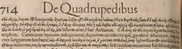 Picture 35 of 80 from Conradi Gesneri medici Tigurini Historiæ animalium Lib. I. de quadrupedibus uiuiparis : opus philosophis, medicis, grammaticis, philologis, poëtis, & omnibus rerum linguarumq́; uariarum studiosis, utilissimum simul iucundissimumq́; futurum .. (1551), leaf 757