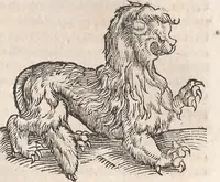 Picture 38 of 80 from Conradi Gesneri medici Tigurini Historiæ animalium Lib. I. de quadrupedibus uiuiparis : opus philosophis, medicis, grammaticis, philologis, poëtis, & omnibus rerum linguarumq́; uariarum studiosis, utilissimum simul iucundissimumq́; futurum .. (1551), leaf 818
