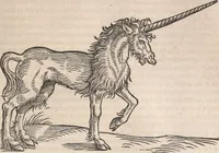 Picture 40 of 80 from Conradi Gesneri medici Tigurini Historiæ animalium Lib. I. de quadrupedibus uiuiparis : opus philosophis, medicis, grammaticis, philologis, poëtis, & omnibus rerum linguarumq́; uariarum studiosis, utilissimum simul iucundissimumq́; futurum .. (1551), leaf 824