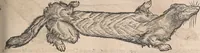 Picture 50 of 80 from Conradi Gesneri medici Tigurini Historiæ animalium Lib. I. de quadrupedibus uiuiparis : opus philosophis, medicis, grammaticis, philologis, poëtis, & omnibus rerum linguarumq́; uariarum studiosis, utilissimum simul iucundissimumq́; futurum .. (1551), leaf 894