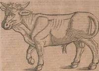 An illustration from Conradi Gesneri medici Tigurini Historiae animalium liber primus de quadrupedibus viuiparis : opus philosophis, medicis, grammaticis, philologis, poëtis, & omnibus rerum linguarumq́ue variarum studiosis, vtilissimum simul iucundissimumq́ue futurum (1602)